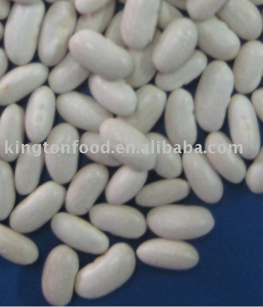 White kidney beans baishake type