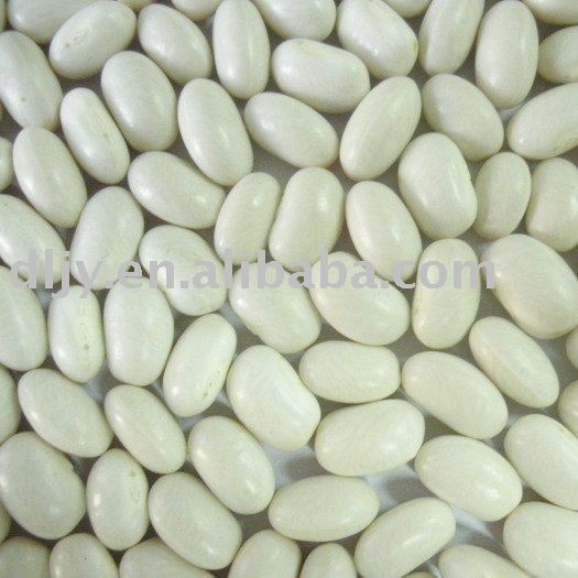 New crop 2009 Japanese white Kidney beans