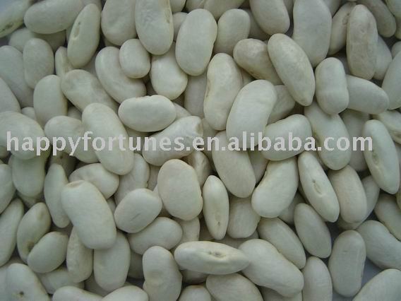 white kidney beans long shape alubia type variety white bean kidney bean dongbei bean pulses