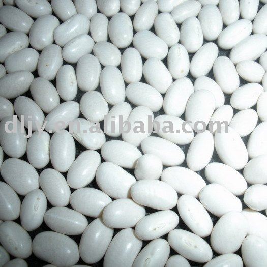 New Crop 2009 Japanese White Beans
