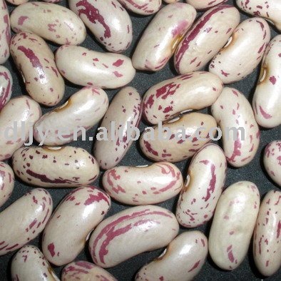 Long shape light speckled idney beans