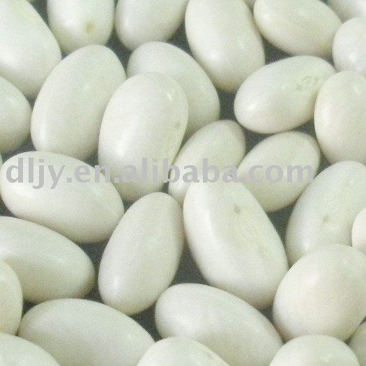  Japanese   White   Kidney   Beans 