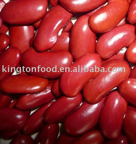 British type red kidney beans