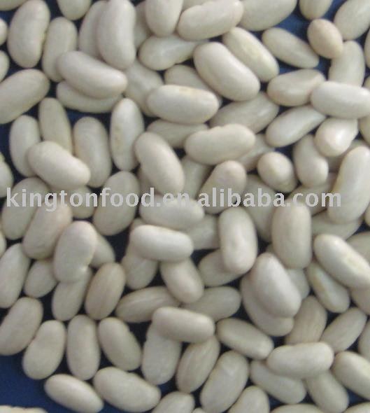 White kidney beans spanish type