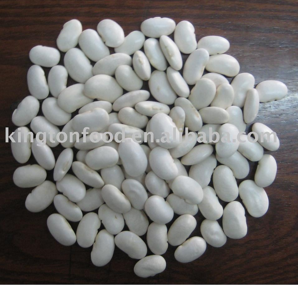 Supply china  large   white   bean s
