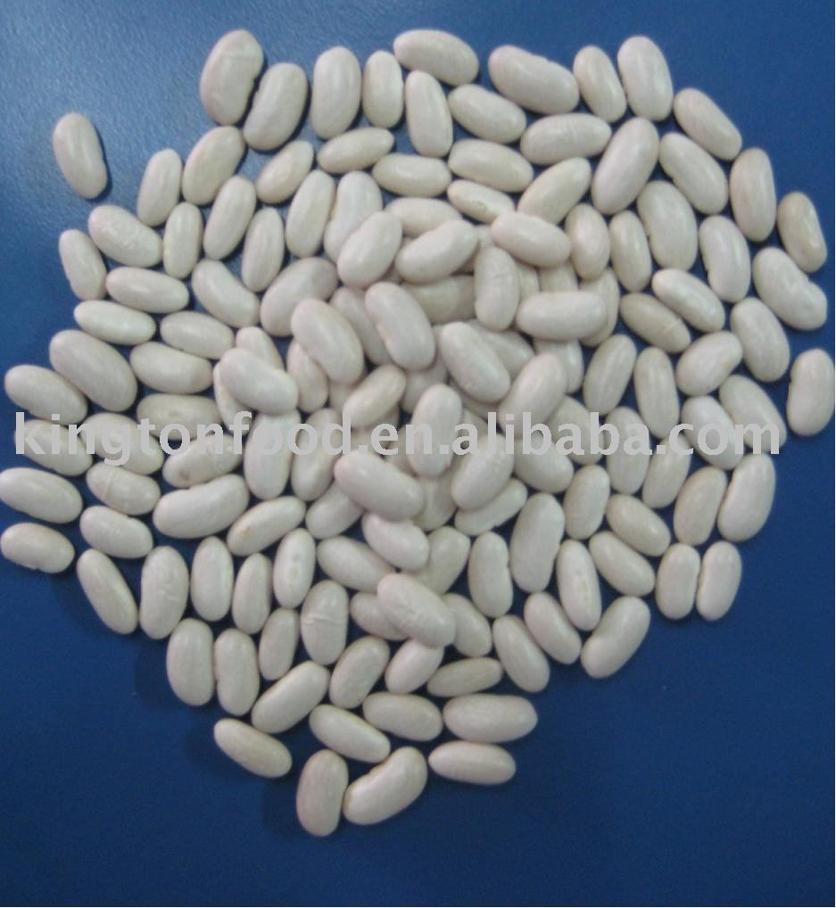 New crop  baishake   white   bean s