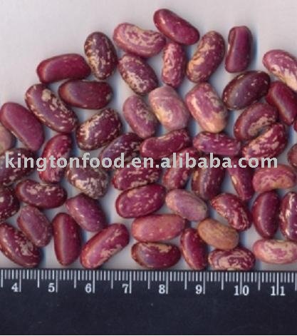 Sell new crop red speckled kidney beans