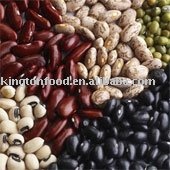 Bean  pulses 