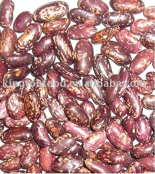 Crop 2009 purple speckled kidney beans