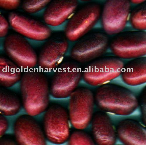 Japanese Red Kidney Beans