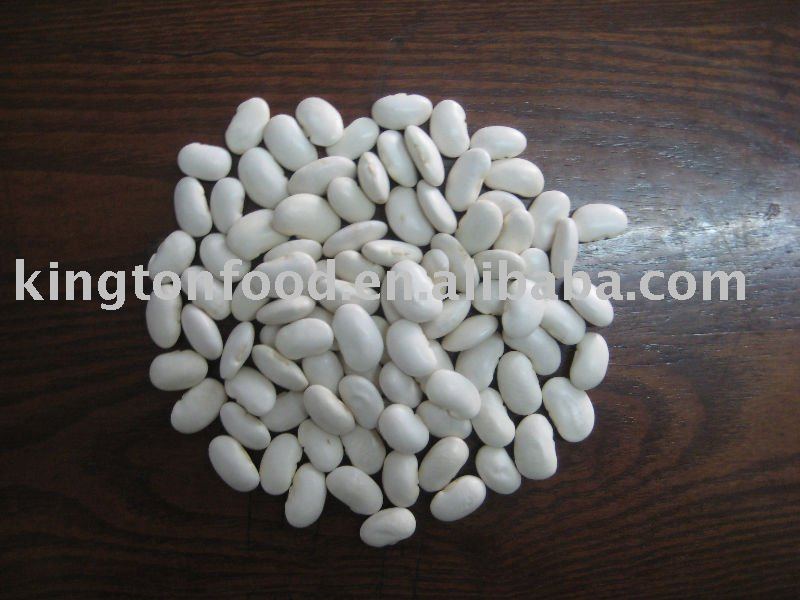  Big   Size  White  Kidney   Bean s
