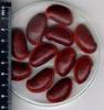 Physostigma Venenosum Calabar Bean