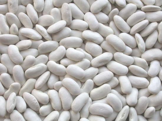 Special offer  for White Bean