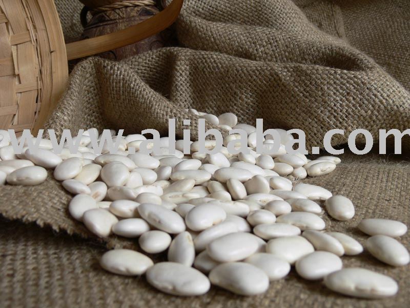 White Egyptian Kidney Beans