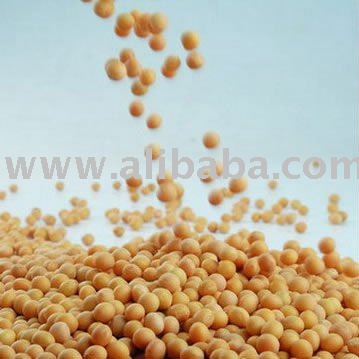 Dried Soybean Seeds