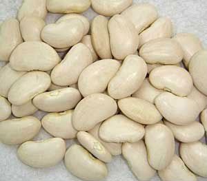 white Lima Beans