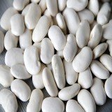 White Lima Beans