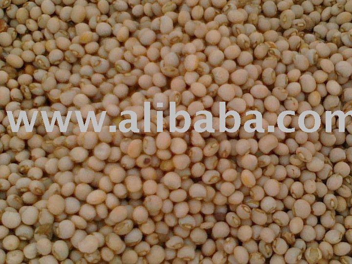 Pigeon Peas