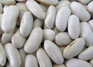 bean