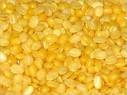 pulses