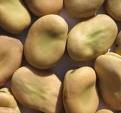 broad beans