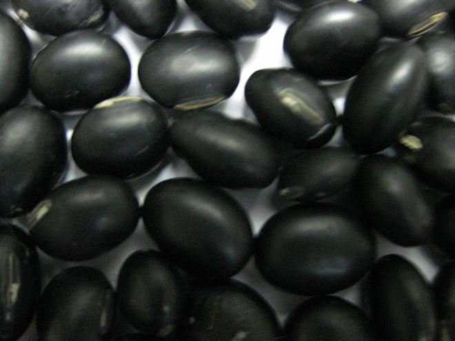 Quality Black  kidney beans