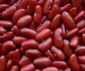 White Kidney Beans,Red Kidney Beans,Pinto Beans,Black Beans,Lentils and Chick Peas