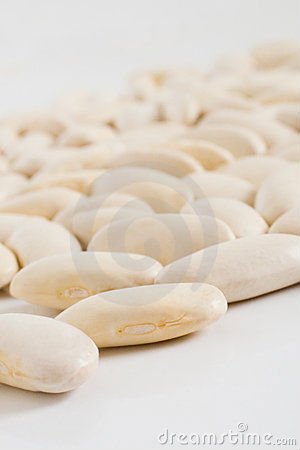 Quality white  kidney beans