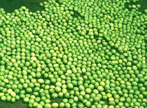 Dried mung beans