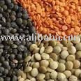 black  Lentils, Seeds and others for sale
