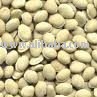 lab lab beans, Seeds and others for sale