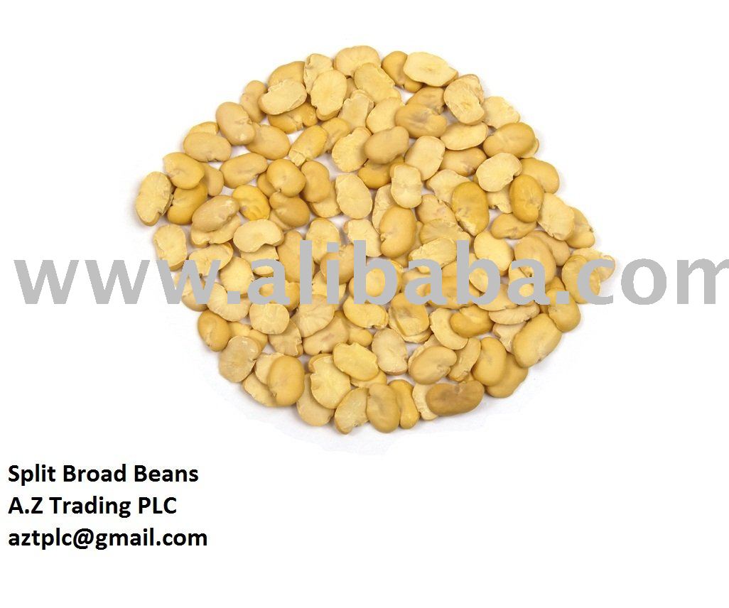Broad Beans