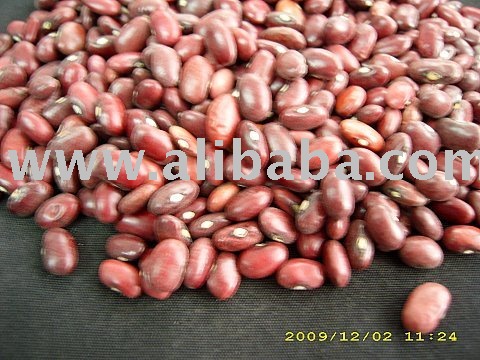 Red Kidney Bean