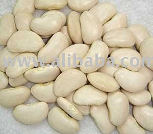 Hihg Quality Lima Bean Availanle