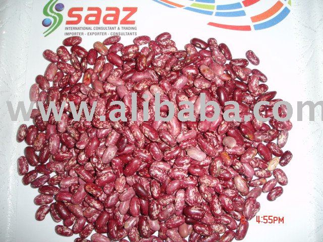  Speckled   Red   Kidney  Bean