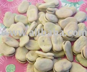 BROAD BEANS, Fava Beans