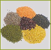 Pulses  and  Lentils 