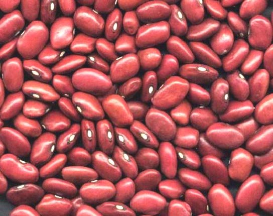 kidney beans