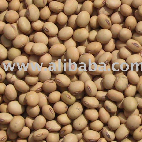 Soyabeans