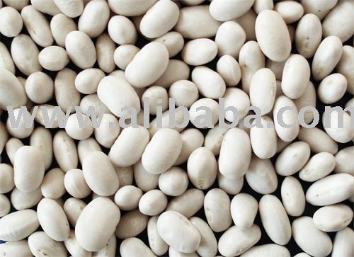 Japanese White Kidney Beans