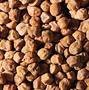 ChickPeas Desi