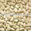 BUTTER BEANS