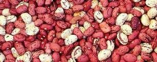 small   kidney   beans 
