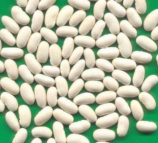 white kidney bean,China price supplier - 21food