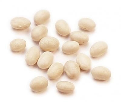 FRENCH NAVY BEANS