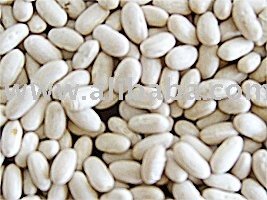 White Kidney  Beans  -  BASHAKE 