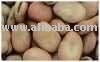 BROAD BEANS