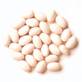 Ethiopian  White   Pea   Beans 