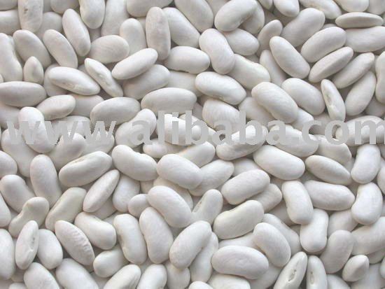 LONG   WHITE   BEANS  FOR SALE