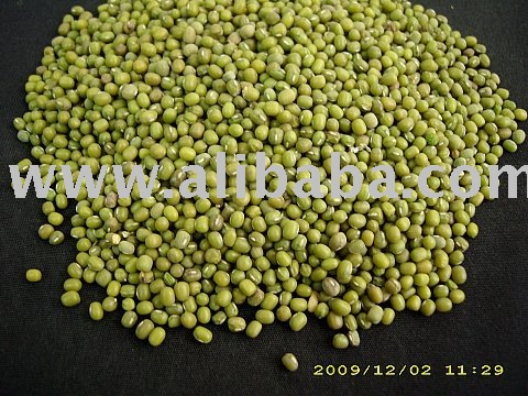 Green Mung Beans
